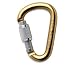 Petzl Attache Screw-Lock Carabiner