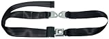 Allstar Performance ALL98110 Black Two-Point Non-Retractable Seat Belt