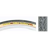 Panaracer Pasela Tour Guard Bicycle Tire, TG 700 x 25 Folding - B000AO9S18