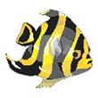 TROPICAL FISH Temporary Tattoo 2x2