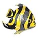 TROPICAL FISH Temporary Tattoo 2x2
