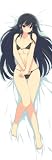 閃乱カグラ 斑鳩 抱き枕カバー