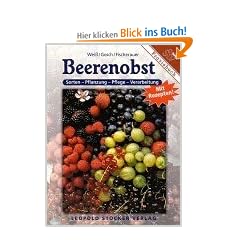 Beerenobst: Sorten, Pflanzung, Pflege, Verarbeitung
