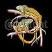 Two Iguanas Adult T-Shirt