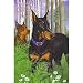 Doberman Garden Flag by GR8 Dogs (Multi, 12' x 18')