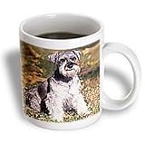 Dogs Schnauzer - Schnauzer - Mugs