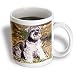 Dogs Schnauzer - Schnauzer - Mugs