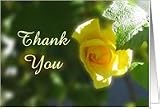 Thank you for condolences sympathy - yellow rose flower Card
