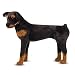 Melissa & Doug Rottweiler - Plush