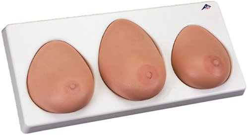 乳房検診シミュレーター,3個セット