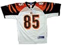 Cincinnati Bengals Chad Johnson Replica NFL Equipment Youth White Jersey