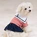 Casual Canine Paw Harbor Dresses Medium