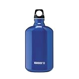 Sigg Oval Water Bottle (0.6-Liters, Oval, Blue Metallic)