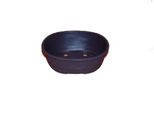 16cm Oval Bonsai Training Pot - Plastic