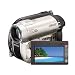 Sony Handycam DCR-DVD850 DVD Hybrid Camcorder with 60X Optical Zoom (Silver)