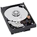 Western Digital Bulk (WD5002ABYS) Western Digital Serial ATA (SATA II)Caviar Raid , RE3 3.5" Interna
