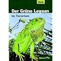 Der Gr�ne Leguan im Terrarium, DVD