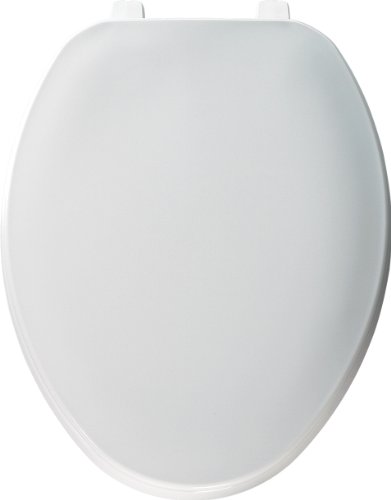 Bemis 170162 Economy Plastic Elongated Toilet Seat, Silver