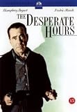 The Desperate Hours - 1955