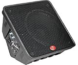 FENDER MONITOR POWERED