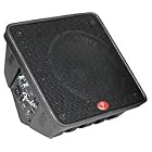Artist 10 2-Way Stage Monitor with 100-Watt Built-In Amplifier by Fender