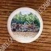 TRAINS LOCOMOTIVES TRAIN #101 DRAWER PULLS KNOBS