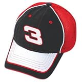 Dale Earnhardt Hat