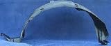 95-99 NISSAN SENTRA FRONT SPLASH SHIELD LH (DRIVER SIDE), Fender Liner, Base Model (1995 95 1996 96 1997 97 1998 98 1999 99) 9575 638431M200