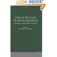 Cultural Portrayals of African Americans: Creating an Ethnic Racial Identity by Janis Faye Hutchinson