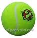 SG Endura Lite Cricket Tennis Ball