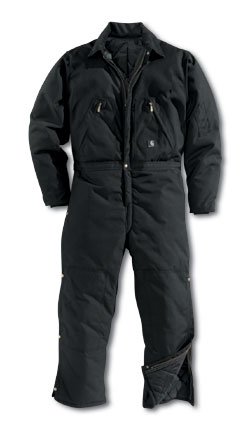 Buy Regular Carhartt® Arctic Quilt Lined Extremes® Coverall by CARHARTT