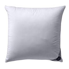 Billerbeck 4410190002 Daunenkissen 306 Alina Kissen, 80 / 80 cm wei�