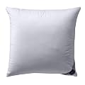 Billerbeck 4410190002 Daunenkissen 306 Alina Kissen, 80 / 80 cm wei�