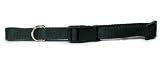 Nylon Adjustable Collar - Hunter Green