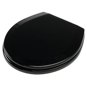 Buy Beveled Toilet Seat with Metal Hinges, Black by Ginsey now!