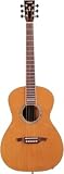 Wechter Guitars Nashville-tuned Special Elite (Cedar)