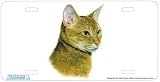 Abyssinian Cat Art Print - License Plate Tag By Robert J. May From Airstrike