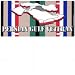 persian17 - Persian Gulf Veteran License Plate