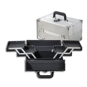 Japonesque Medium Train Case