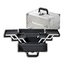 Japonesque Medium Train Case, Silver