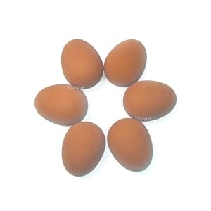 Bouncing Egg