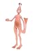 Sea Monkeys Father Action Figure
