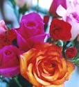 Flower of the Month Club - 12 Months of Flowers with Free Shipping!
