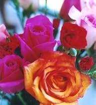 Flower of the Month Club - 12 Months of Flowers with Free Shipping!