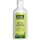 Tea Tree Shampoo - 200 ml - Liquid