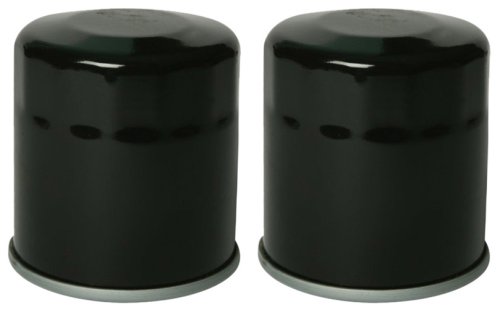Purolator ML16825 Black Motorcycle Oil Filter Pack of 2