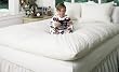 Baffled Channel White Feather Bed White Queen