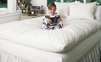 Top 10 Best Pillow Top Feather Beds 2013 Hotseller Net