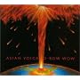 ASIAN VOLCANO