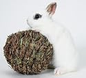 Peter's Woven Grass Play Ball